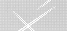Index_cindy_mco